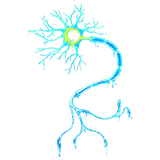 Morphosis Dev Stream