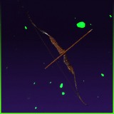 ToonyX Bow
