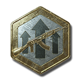 Premium Weapon EXP Token