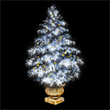 Boreal Arbor222