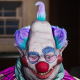 Ranger Purple Hair Tint