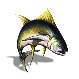 Mini Krytan Floppy Fish