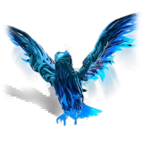 VOID WINGS SKIN: UNKNOWN 