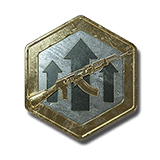 Premium Weapon EXP Token