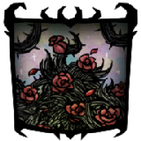 Rose Bushel - Portrait