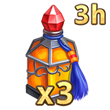 3x Potion of Wisdom (3h)