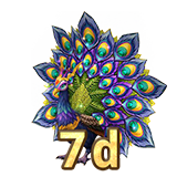 Royal Blue Peacock (7d)