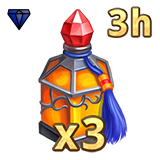 3x Potion of Wisdom (3h)