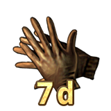 Thief's gloves (7 days)