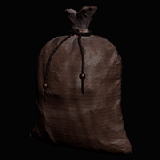 Gold Coin Bag (No-Trade)