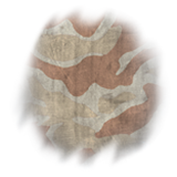 AMP Takedown Assault Weap