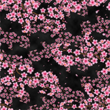 Cherry Blossom Skin