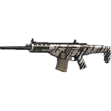 Iana Y10S2 weapon skin