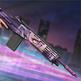 Mk EBR Weapon Skin