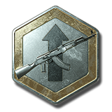 Int. Weapon EXP Token X2