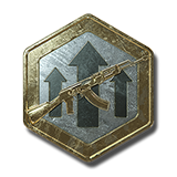 Premium Weapon EXP Token