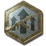 Premium Weapon EXP Token