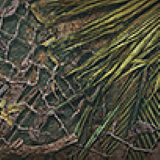 1x 2D Style Palm Forest