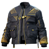 Infinite Memory Skin