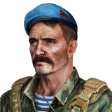 Климов "Штурмовик" 15 д