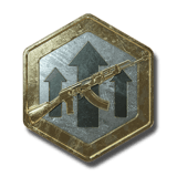 Premium Weapon EXP Token