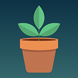 Ready to Bloom Icon