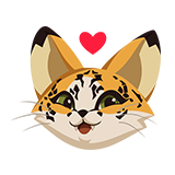 Kitty Love Spray