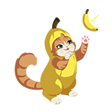 Banana Cat Spray