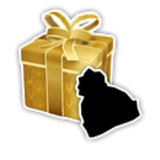 Midwinter Beanie Present