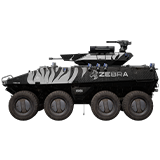 IFV - Zebra