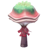 5x Elder Clam Mushroom