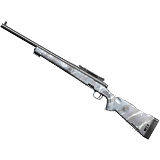 M700 - Maritime Forest