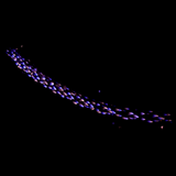 Wyrmling Trail Cosmetic