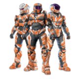 Bengal Tiger Coatings