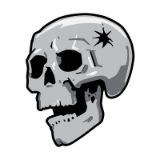 Head Shot Spartan ID