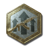 Premium Weapon EXP Token