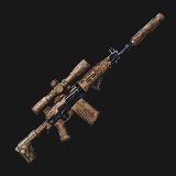 AK-308 (Hunter Team)