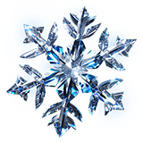 S11D3 200 snowflakes (2)