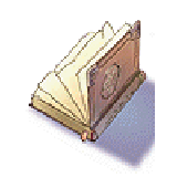提要經驗值倍增書*4
