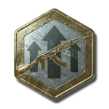 Prem. Weapon EXP Token X2