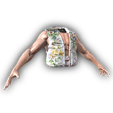 Ex Cage Fighter Body