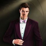 Purple Suit