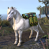 Nibenese Pony Pet