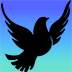 Stream For Humanity 2 Badge