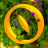 Midsummer Avatar