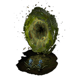 Druids of the Maji Portal