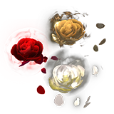 Rose Charges