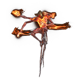 Sun Priest's Incineration