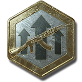 Premium Weapon EXP Token
