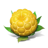 25 Honing Fruits